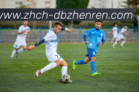 DB真人APP 封面图